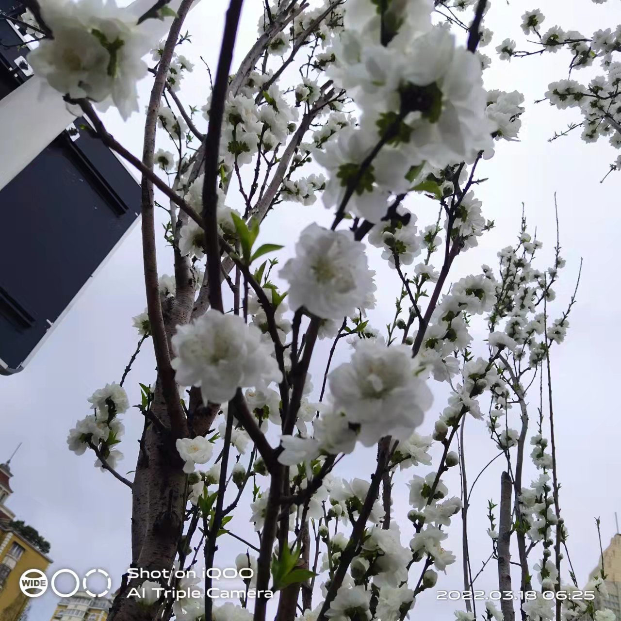 萧山风景拍照打卡地,萧山网红打卡景点春季