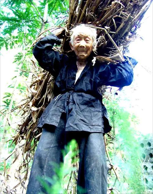 广西巴马长寿的真实原因,巴马长寿老人有什么说法