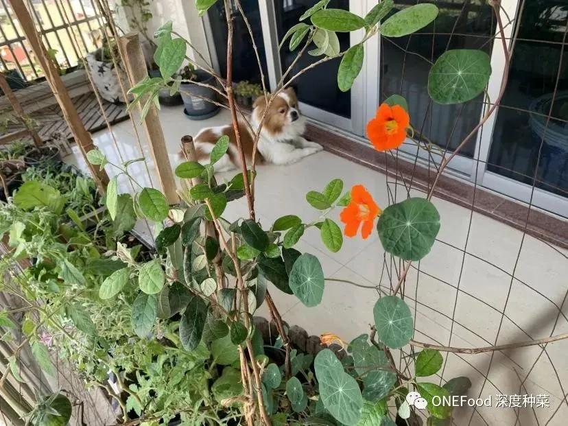 可持续健康好生活,身心健康可持续发展