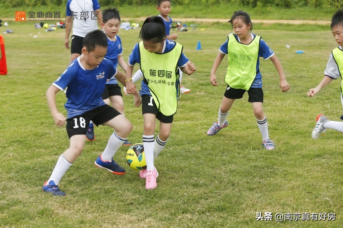 金地商置东部区域有限公司,金地商置新春