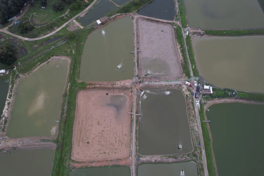 日本鳗鱼福建造，福建人林文生：一吨鳗鱼18万，利润五成
