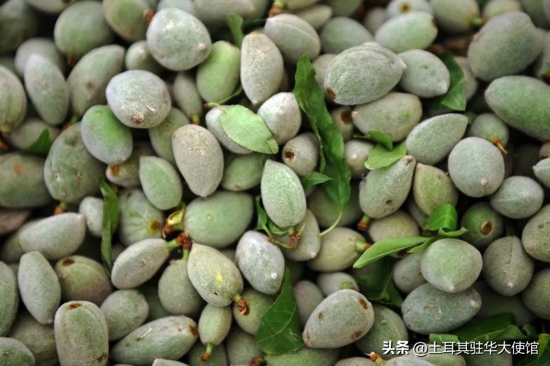 土耳其吃什么水果好,随季节变化而多吃应季食品