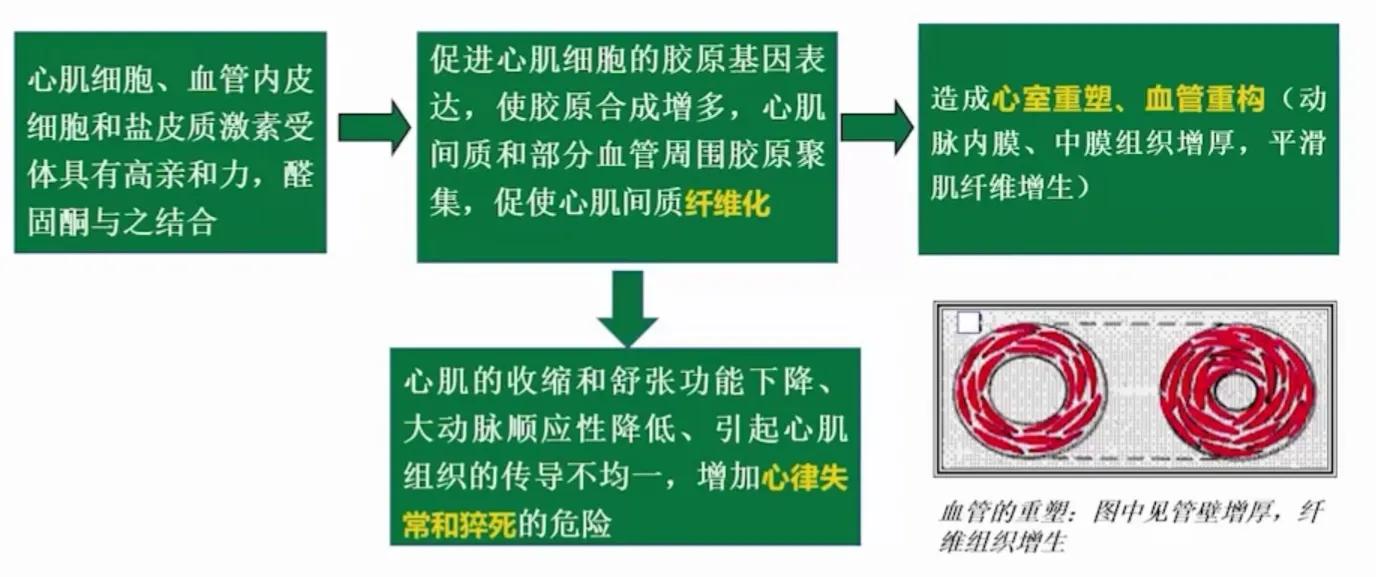 治疗心衰新四联药物,心衰患者醛固酮受体拮抗剂