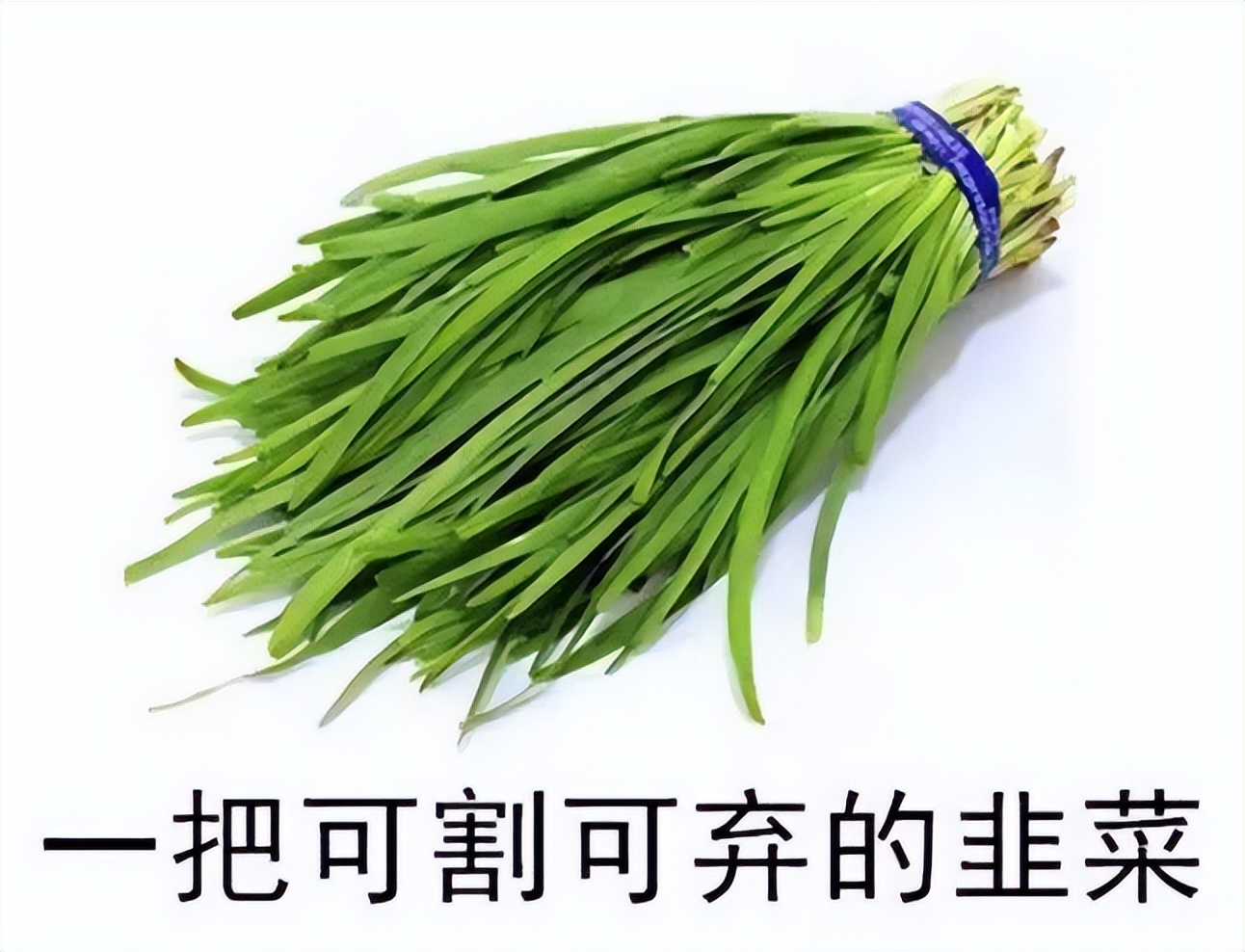 真正叫你醍醐灌顶的只是一段经历,你看到的真相其实是假象