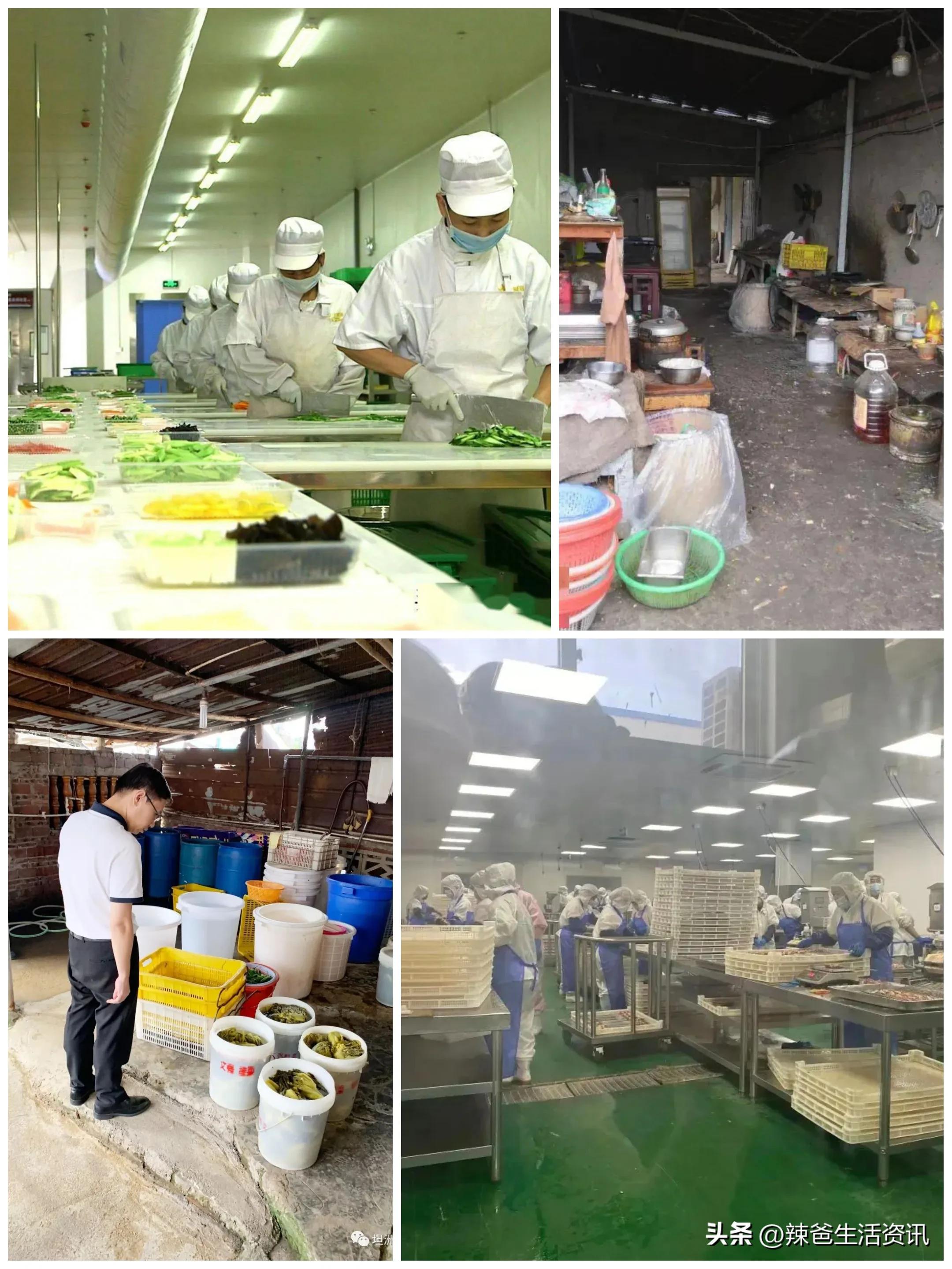 预制菜爆红出圈到底什么是预制菜,预制菜满天飞