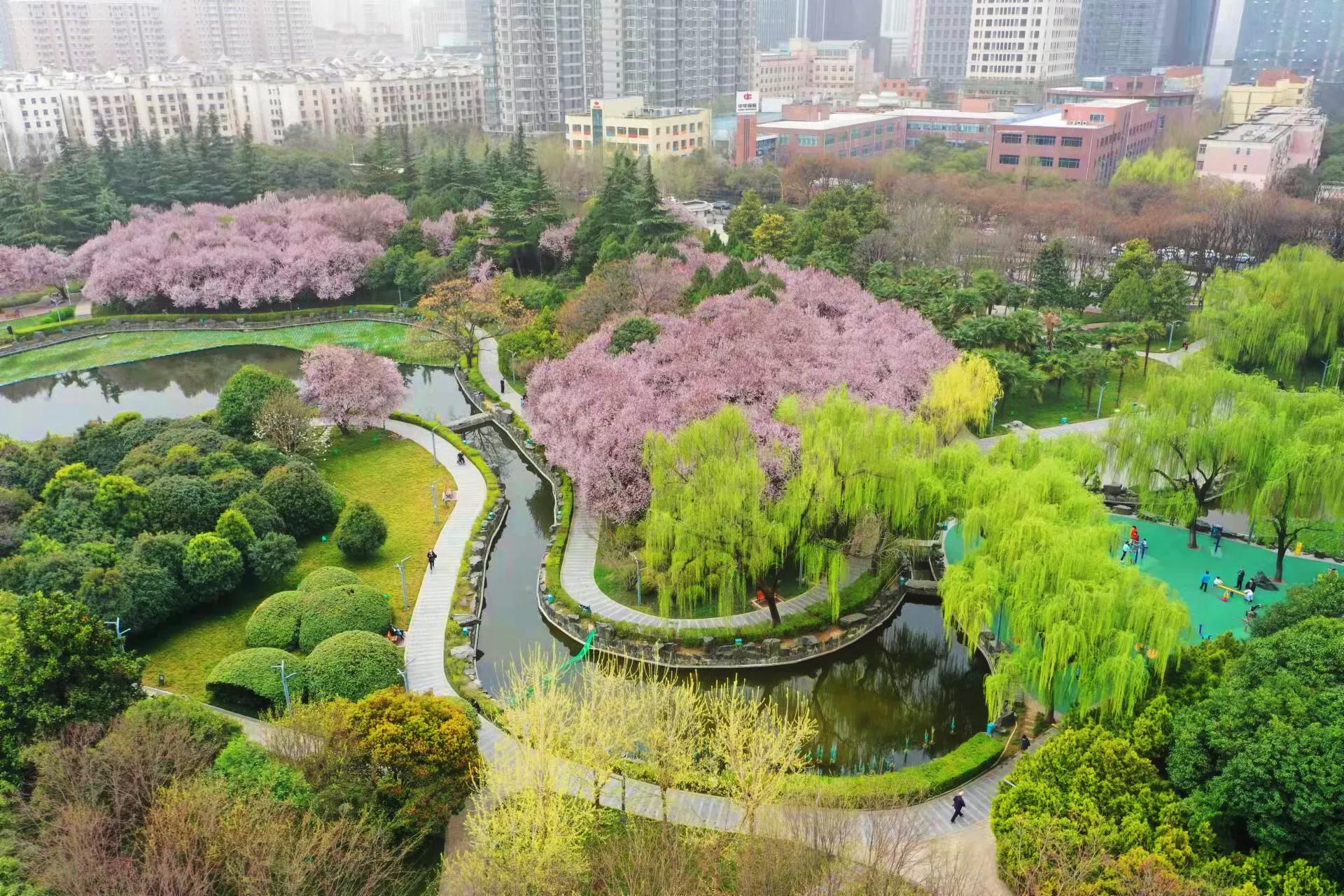 西安高新区绿色为底起新城