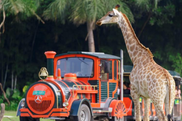 广州长隆熊猫酒店蝴蝶谷,广州长隆熊猫主题酒店五一