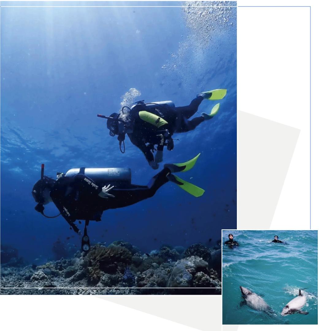 lv官网最平价隐藏清单,比lv更值得买的包