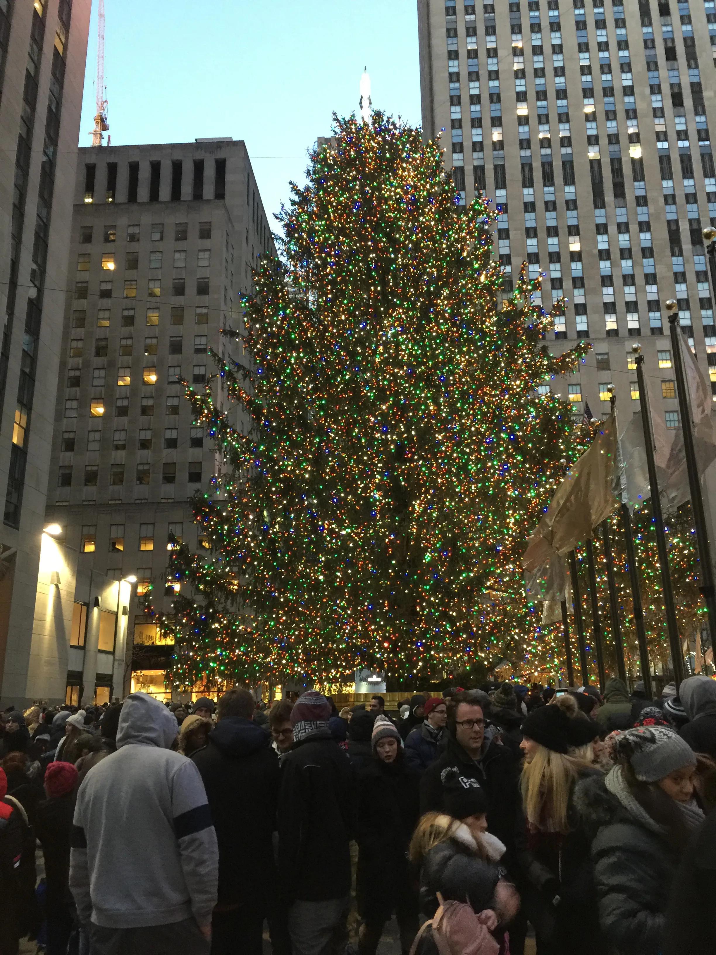 美国纽约行,美国纪行