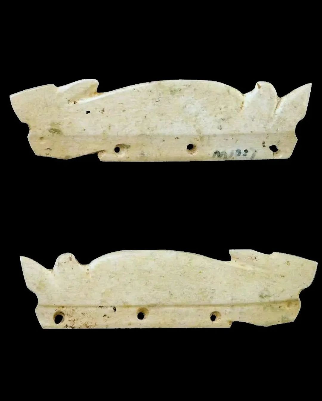 原来,你是这样的兔兔!