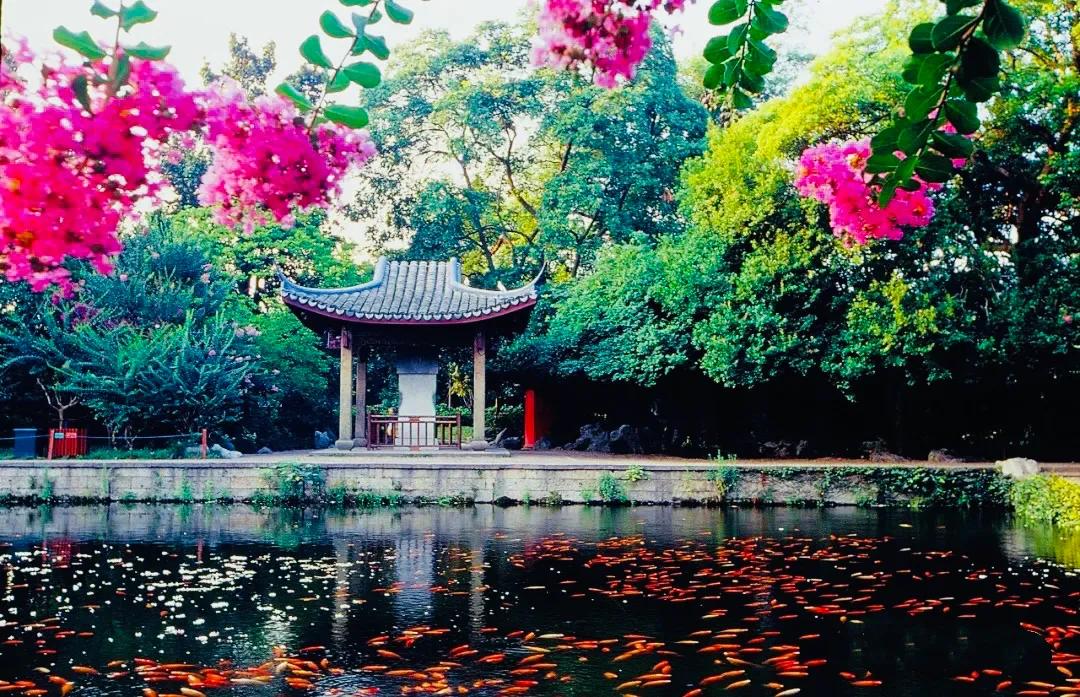 杭州西湖大雪纷飞,杭州西湖风景名胜区