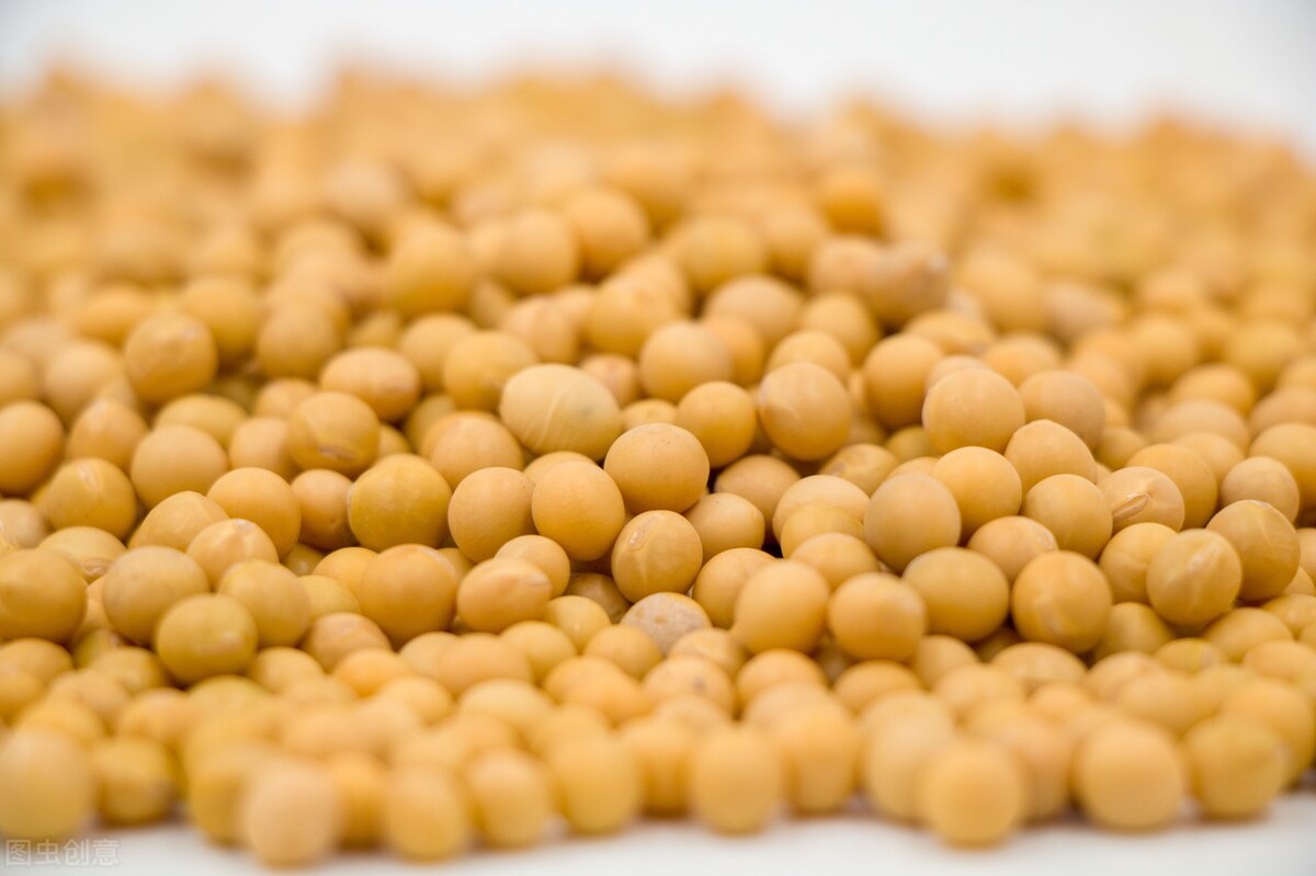 今日全国各地大豆价格行情走势,今日全国大豆价格是涨是跌