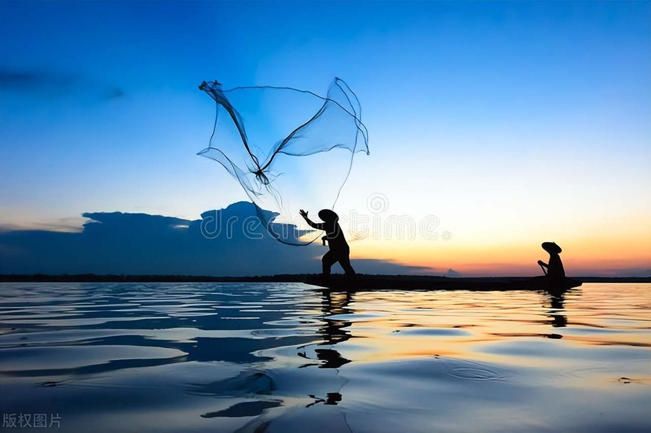 三峡库区最大鲢鳙,三峡水库巨型鲶鱼