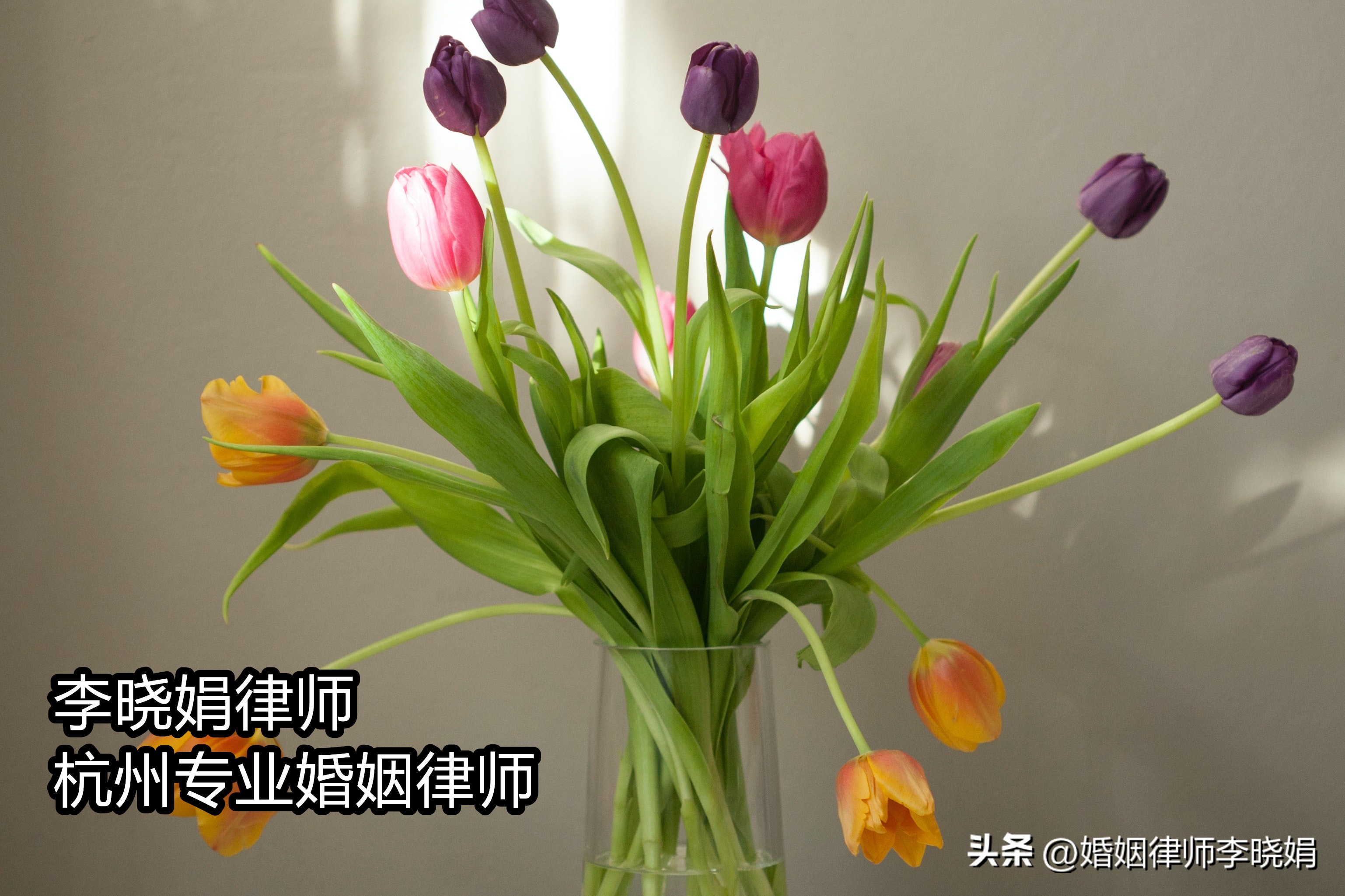 杭州离婚律师最出名,离婚律师要离婚