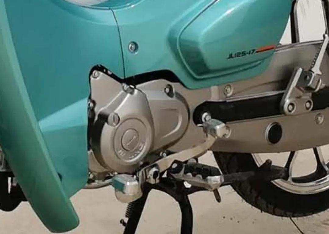 嘉陵幼兽对本田幼兽,引进本田幼兽