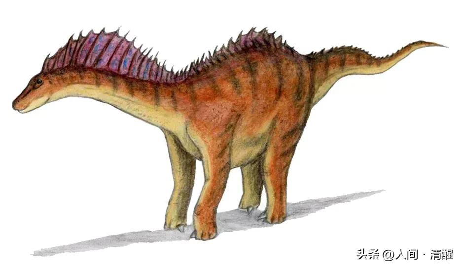 游星方舟奇怪的恐龙,世界上最奇葩的恐龙是什么恐龙