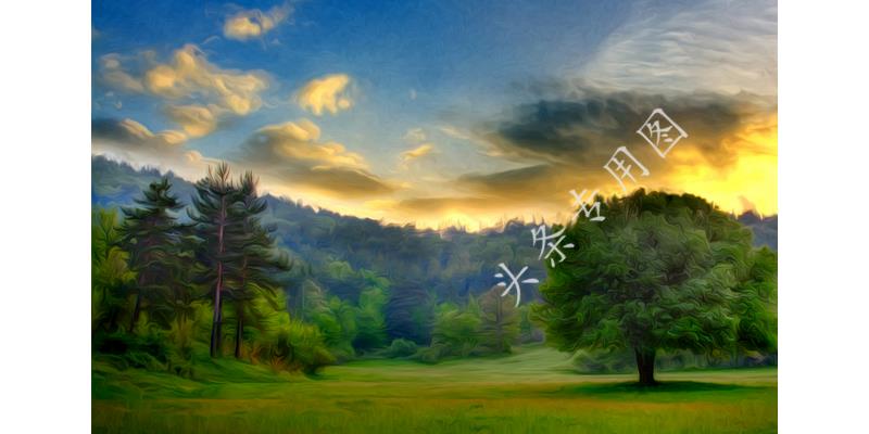 老公全职炒股多年却分文未赚,90后夫妻揭秘炒股