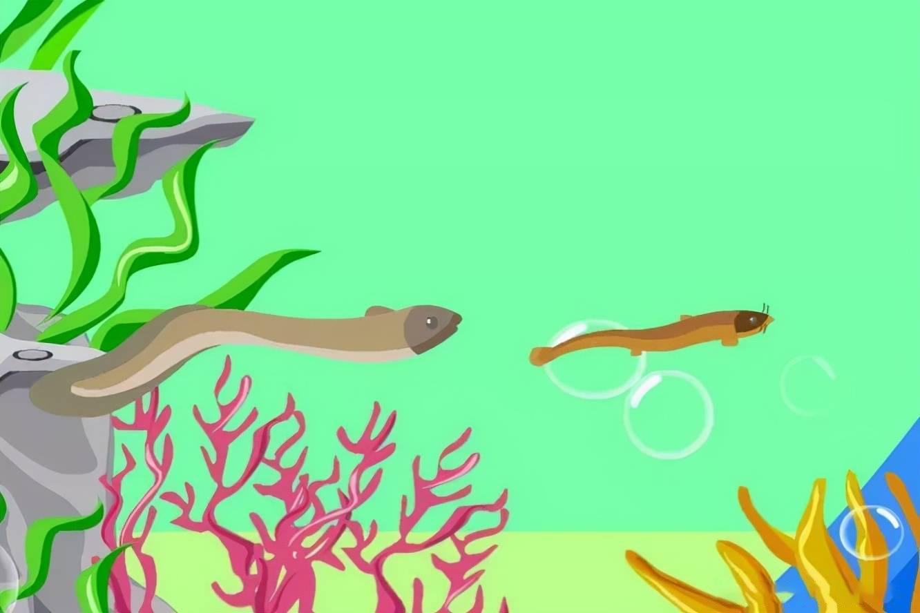 蛇吃黄鳝真会有危险吗,为什么蛇吃黄鳝会咬人