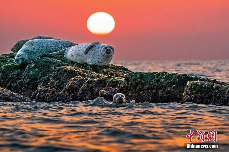 安庆市国家历史文化名城名单,西安历史文化名城保护规划