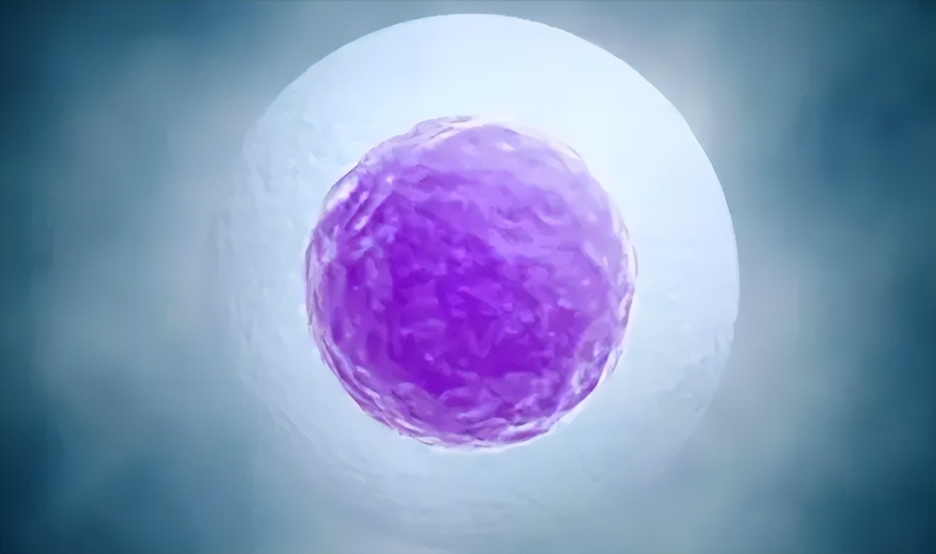 进入女性体内后，没“受精”成功的精子都去哪儿了？既好笑又心疼