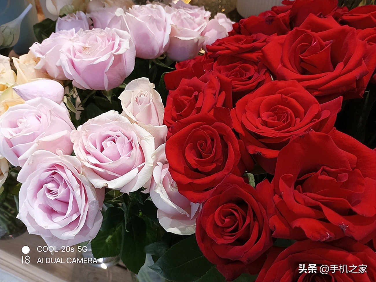 酷派COOL20s5G手机,酷派cool20s5g手机怎么样