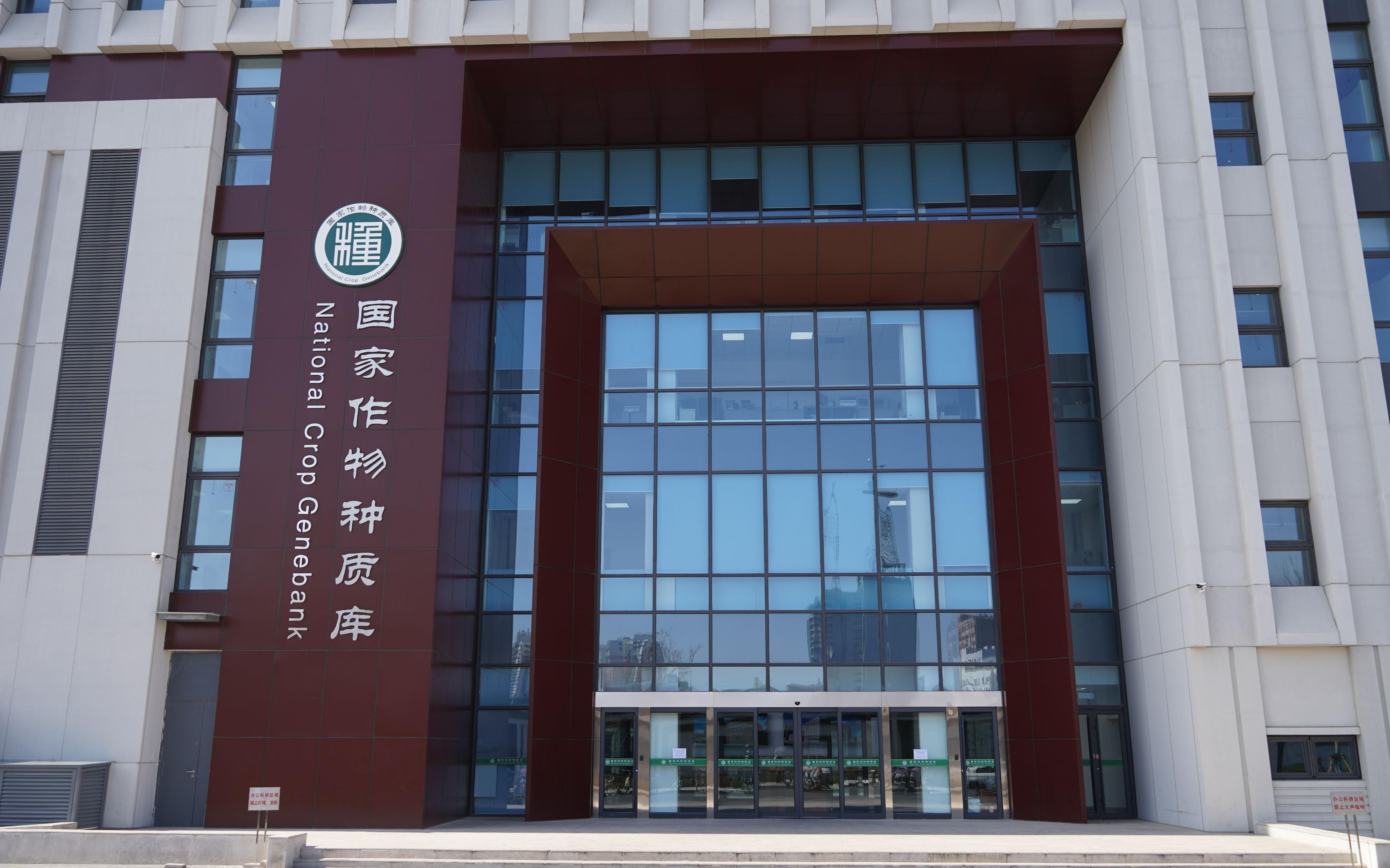 探访全球容量最大的作物“种子银行”种质库2.0是什么样的