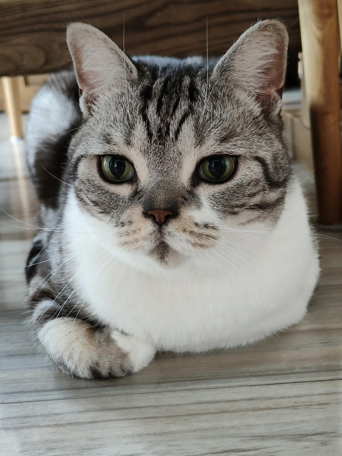 换手机尽量换什么手机,换手机最好用什么手机