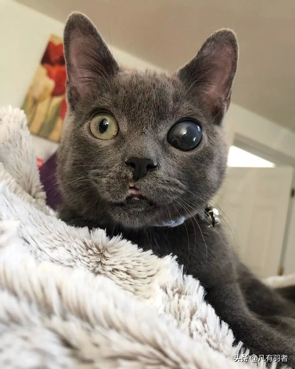 学生希望自己成为怎样的人,学生想要成为一个什么样的人