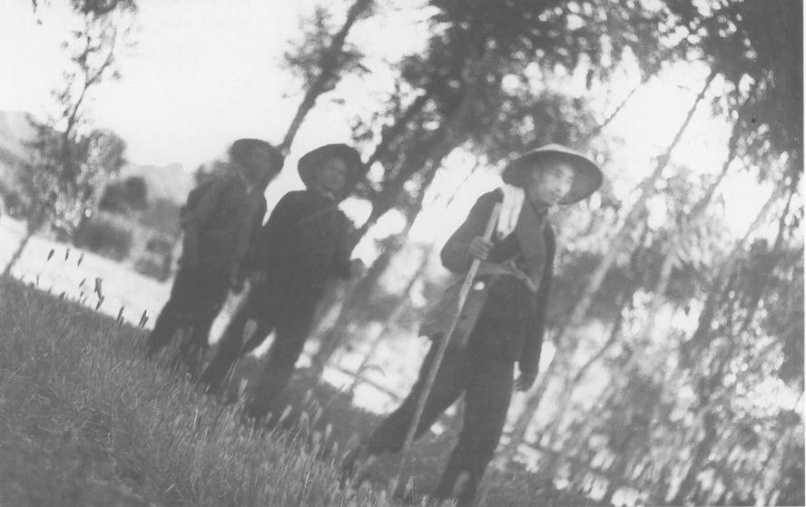 中原突围以后有什么失利,中原突围最后去哪了