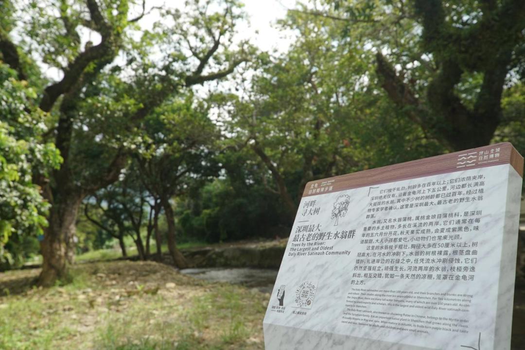 坪山金龟生态艺术小镇,坪山全域自然博物步道