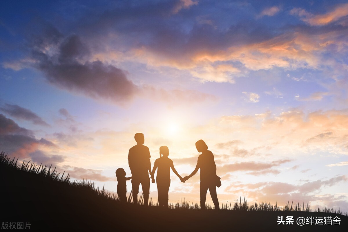 如何开办一家旅行社,开一家旅行社需要什么条件和流程