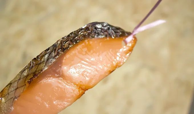 日本奇葩文具手帐工具,日本创意奇葩文具大赏