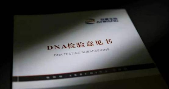 中国最早司法DNA鉴定,中国第一个dna鉴定师完整版