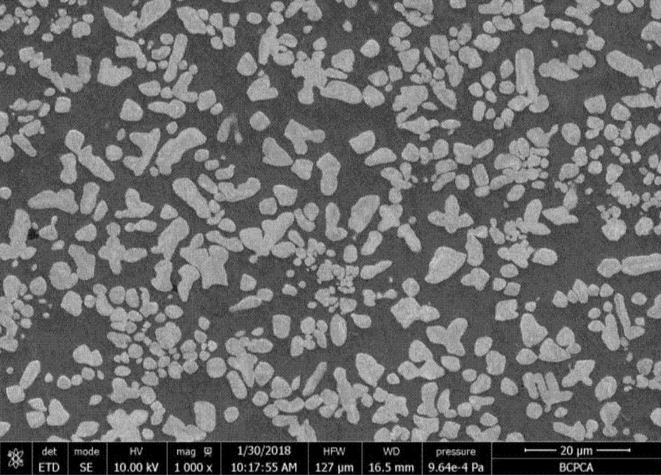 电磁搅拌对Sr变质体育器材用铝基复合材料的影响