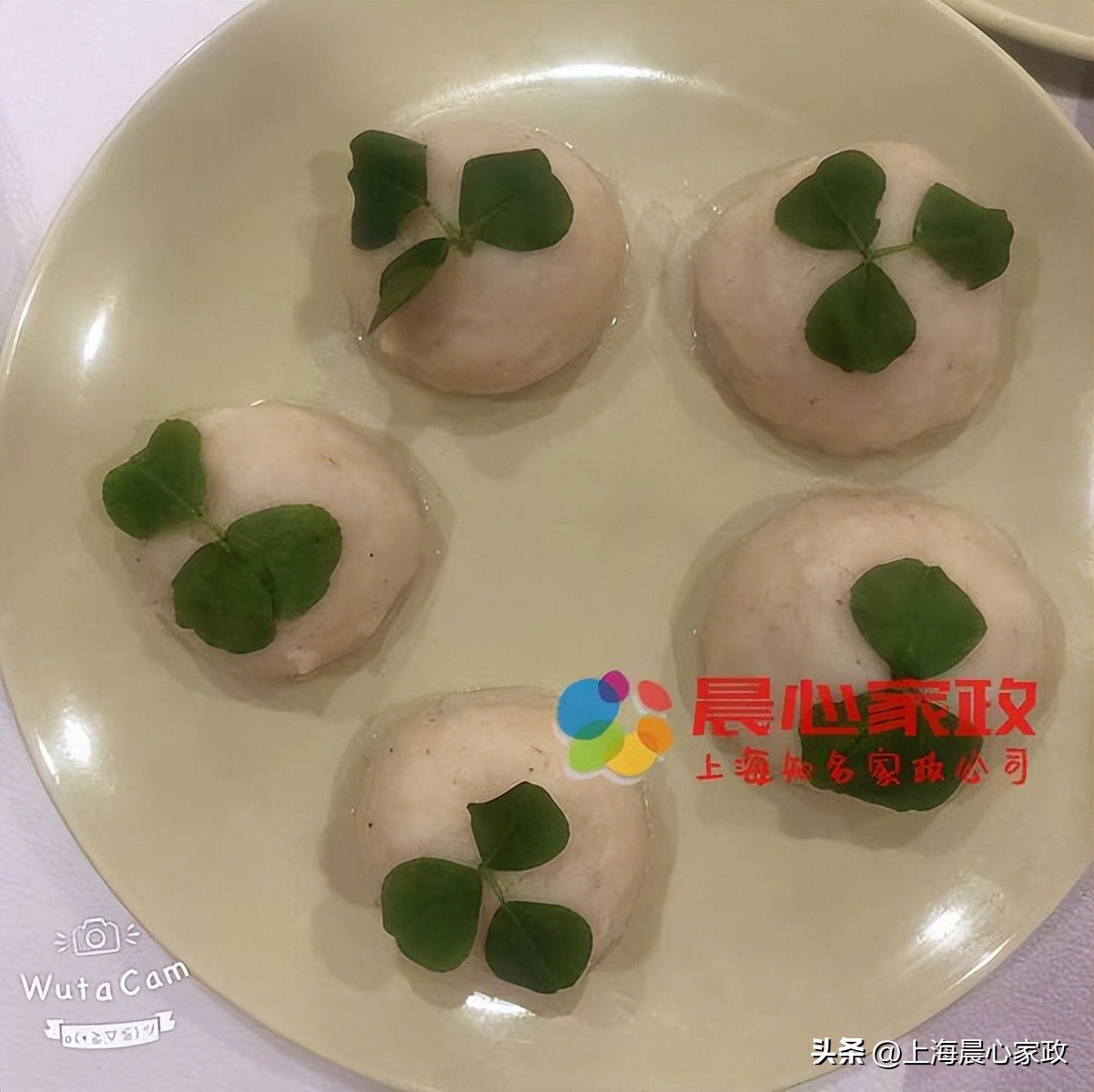 月嫂上海培训机构,月嫂育儿嫂上海