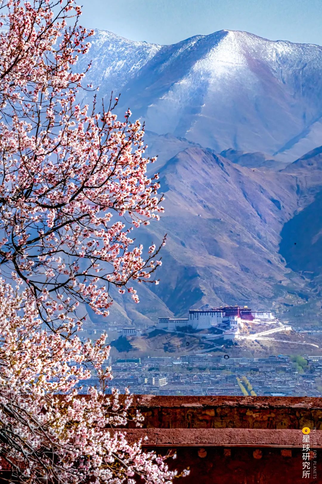 布达拉宫进去可以看到什么,布达拉宫夏天能看见雪山吗