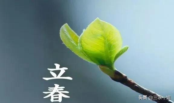 犯太岁在本年的立春之日怎样接春,犯太岁的年头躲立春就躲过去了吗