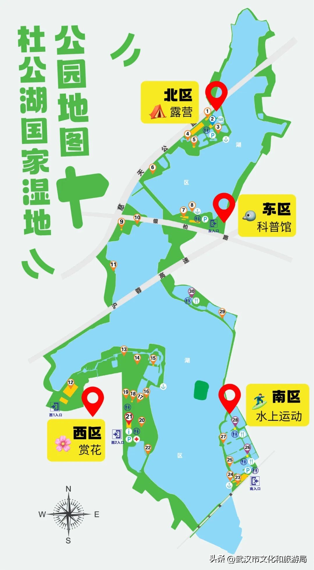 万亩野生古茶园,武汉野生森林