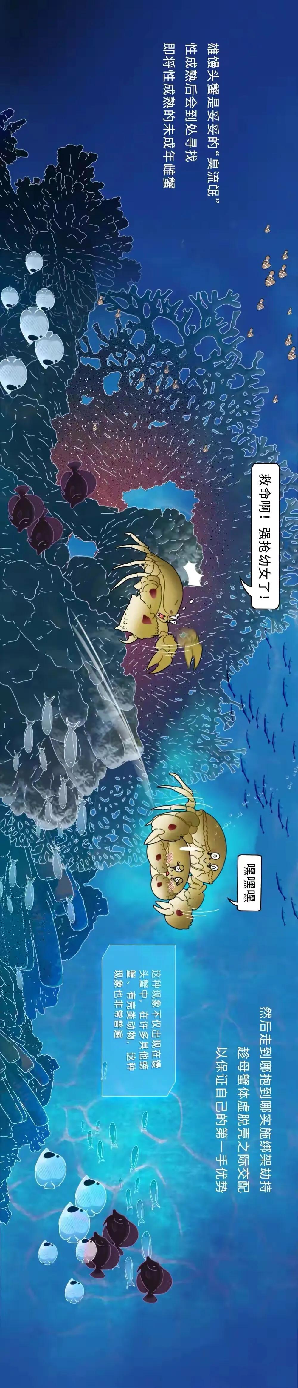 海陆空动物交配姿势对照表（严肃正经版）