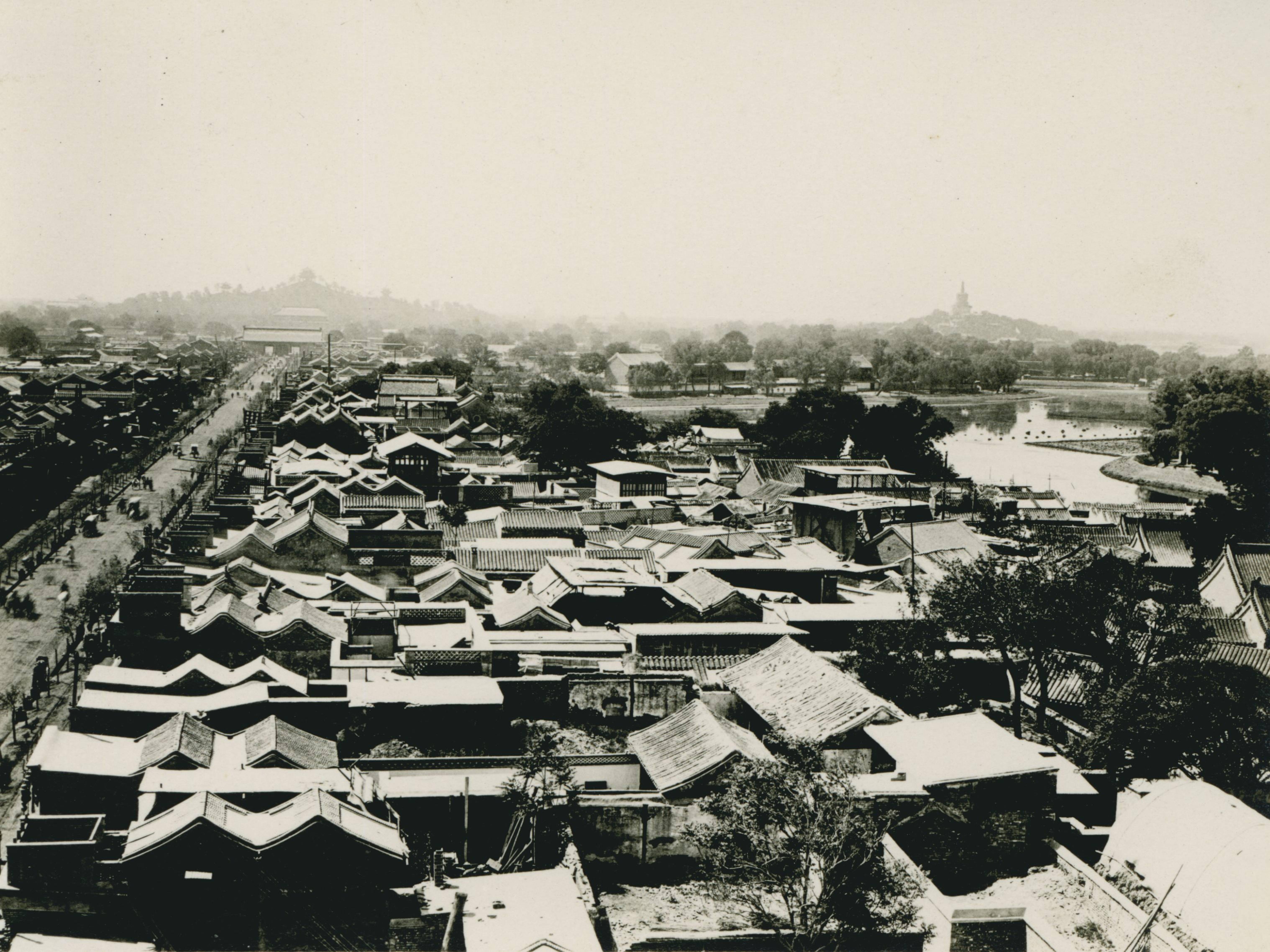 小小说寡妇,小小说电影小女孩