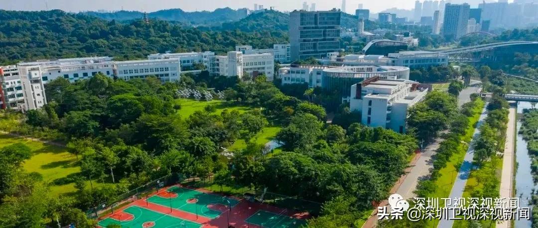 清华大学怎么培养人才,清华大学卓越人才培养