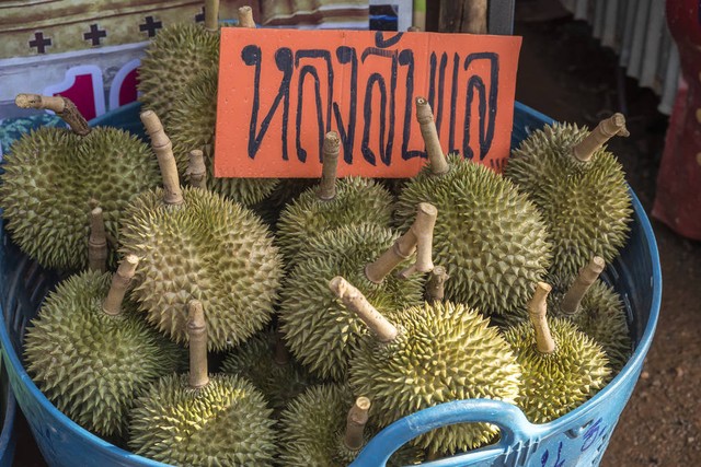泰国榴莲暴利,泰国卖榴莲有多赚钱
