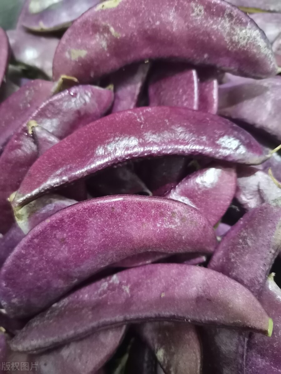 它叫扁豆，在农村常不被人重视，却被称为“豆中之王”，你爱吃吗