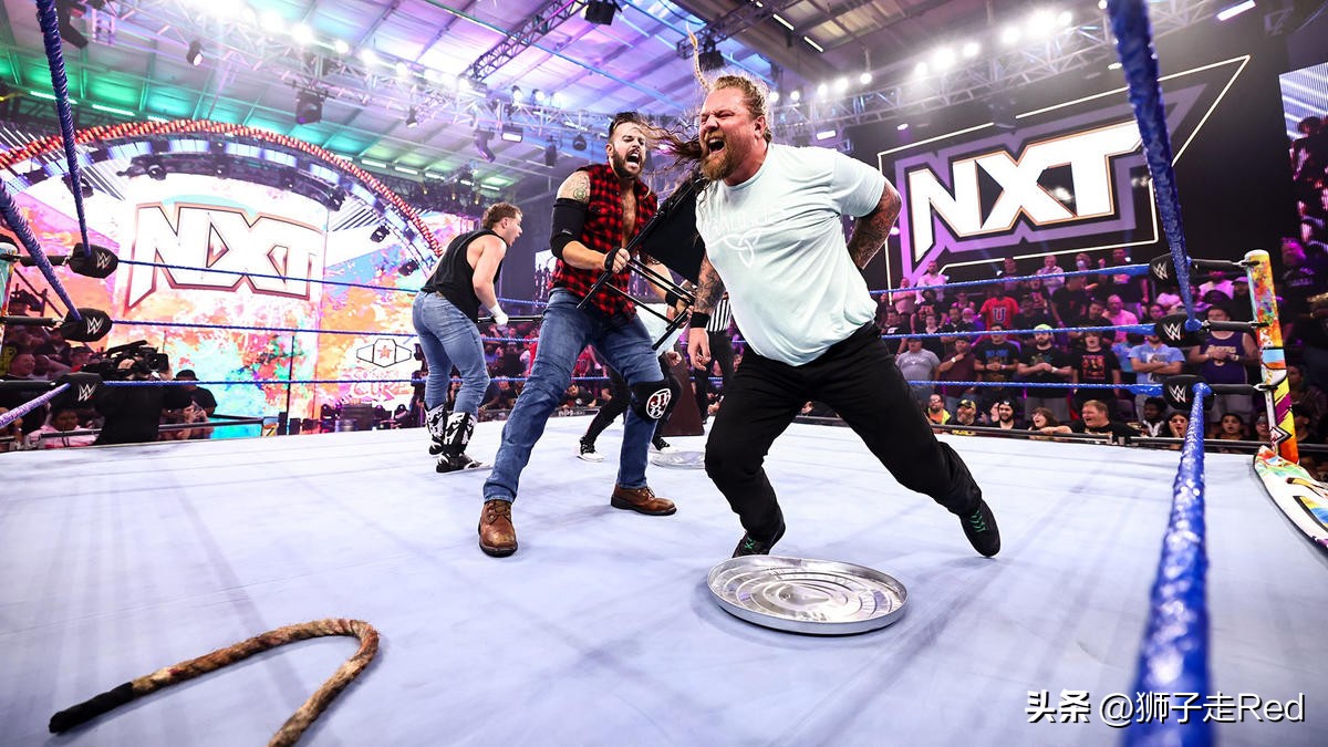 wwe第1163期完整版,wwenxt667期最新赛事