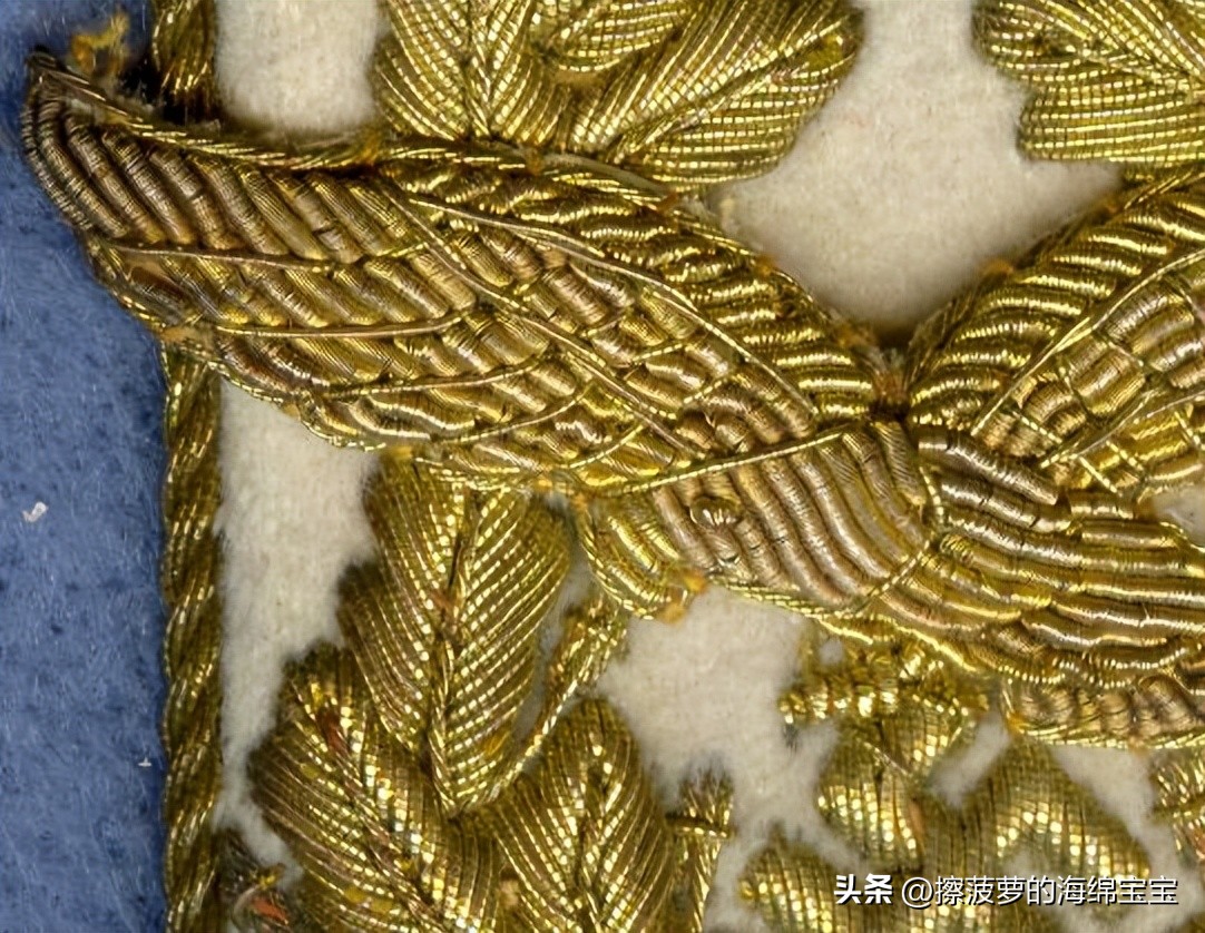 二战德国将军军衔图案,二战德国突击队队长军衔