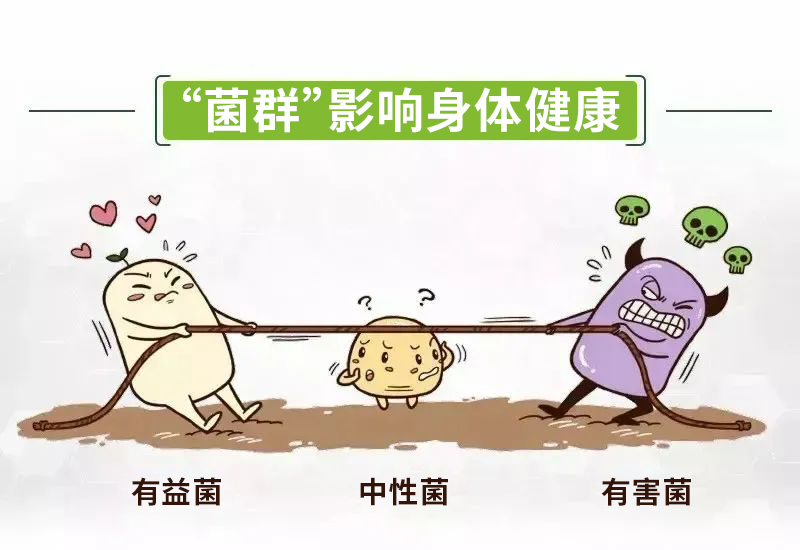 人的粪便可以治病吗,人体粪便能治病吗