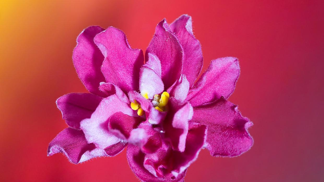 男人这样和你微信聊天说明想你了,怎么和男人聊天让男人喜欢你