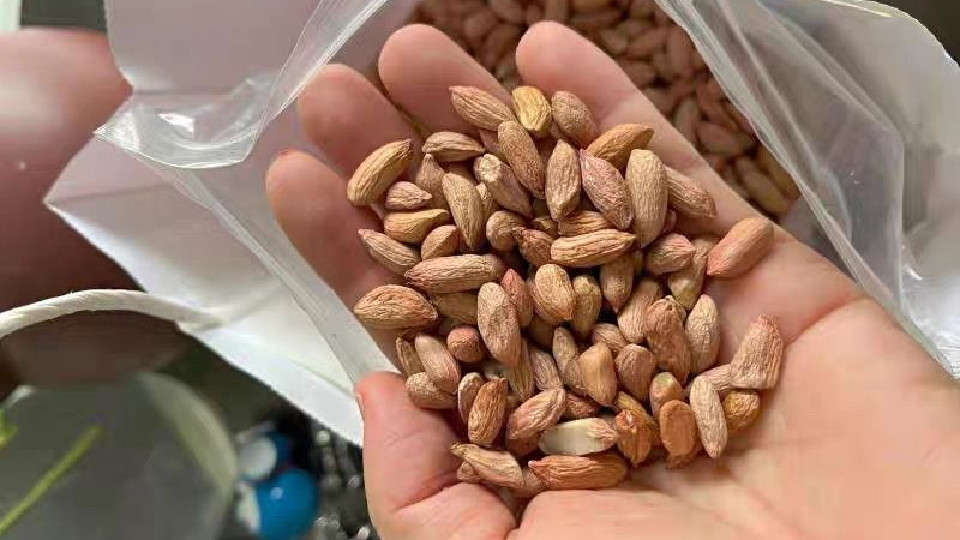 中老年零食100种,中老年零食推荐网红零食