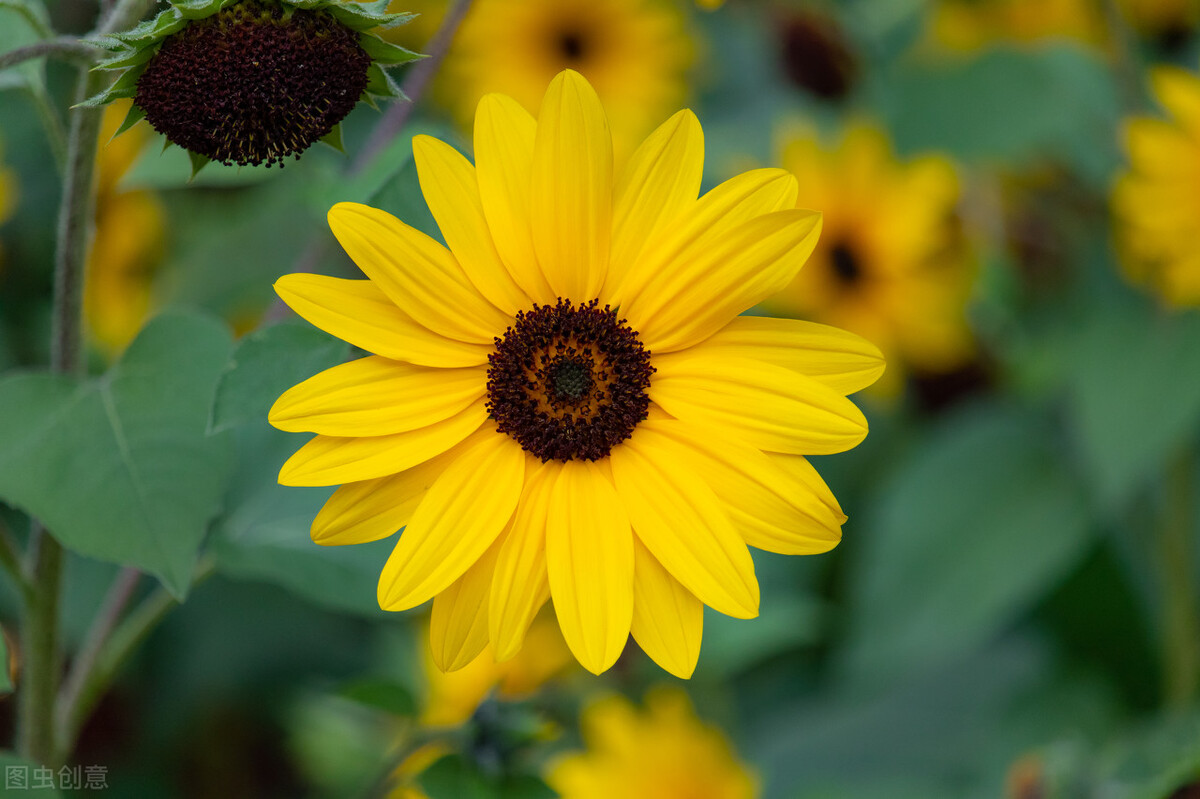 一场突如其来的葬礼后，我用这3点，治愈我自己