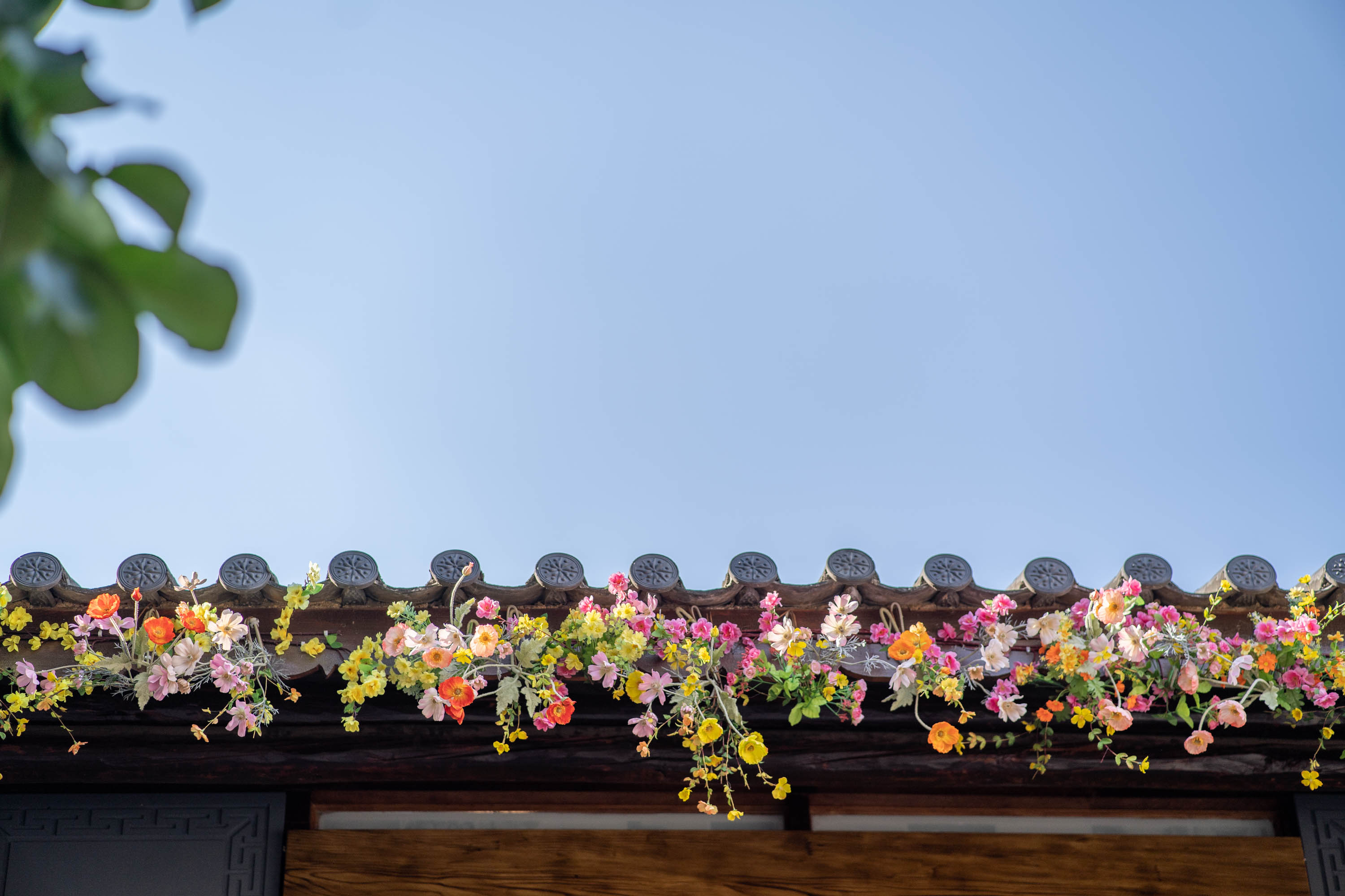 去云南跟团一日游攻略图片大全集,云南六日游跟团路线攻略大全